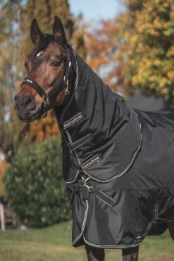 Back On Track Obsidian Weidedecke, 0g -Cavallo Verkäufe 345230 BL 12