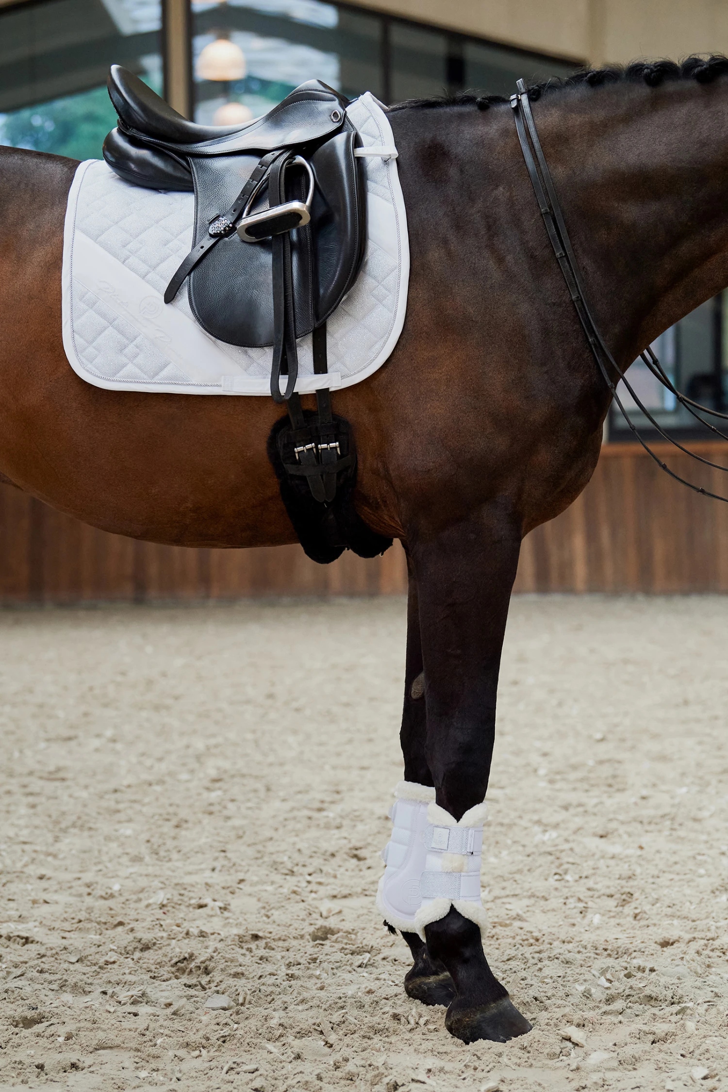 Eskadron Platinum Pure FS23 Glitter-Mesh Dressurschabracke 5 Eskadron Platinum Pure FS23 Glitter-Mesh Dressurschabracke – Bild 3