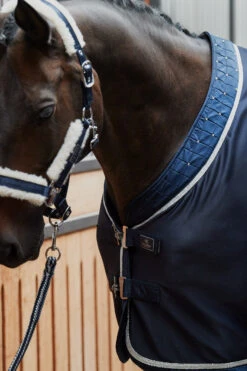 Eskadron Platinum Pure FS23 Dura Crystal Transportdecke 10 Eskadron Platinum Pure FS23 Dura Crystal Transportdecke -Cavallo Verkäufe 345520 DB 03