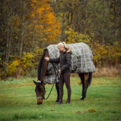 Horze Sienna Damen Reithose Mit Vollbesatz Und Silikon Grip 33 Horze Sienna Damen Reithose Mit Vollbesatz Und Silikon Grip -Cavallo Verkäufe 36660 BRBR 5