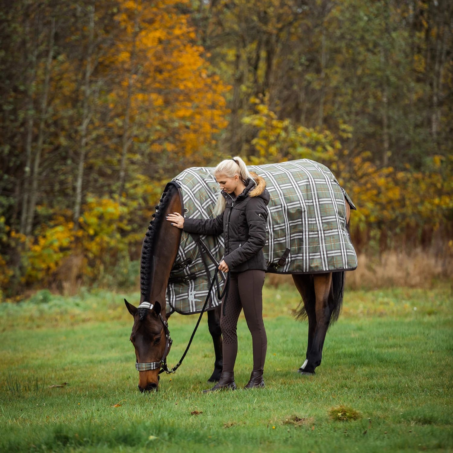 Horze Sienna Damen Reithose Mit Vollbesatz Und Silikon Grip 14 Horze Sienna Damen Reithose Mit Vollbesatz Und Silikon Grip – Bild 12