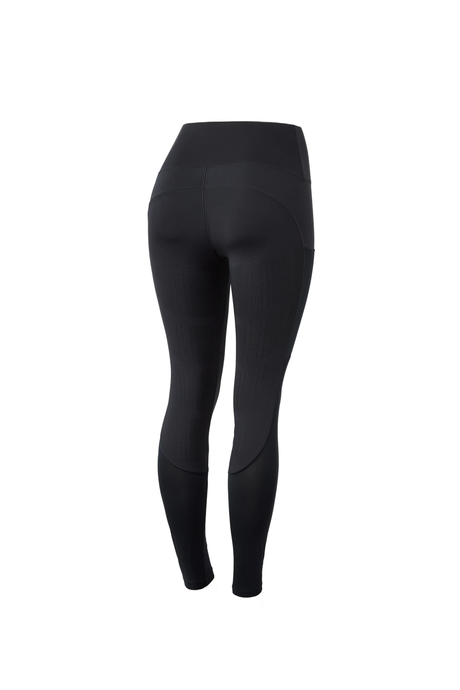 B Vertigo Adelaide Damen Reitleggings Mit Hohem Bund 15 B Vertigo Adelaide Damen Reitleggings Mit Hohem Bund – Bild 13