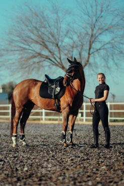 Horze Mila Vollbesatzreithose Für Damen Mit Hohem Bund -Cavallo Verkäufe 36698 BL 8