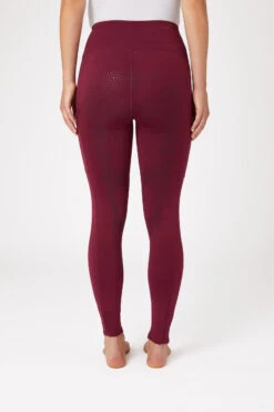 Horze Reitleggings Mit Silikonvollbesatz Und Kristalltaschen -Cavallo Verkäufe 36908 BRE 4