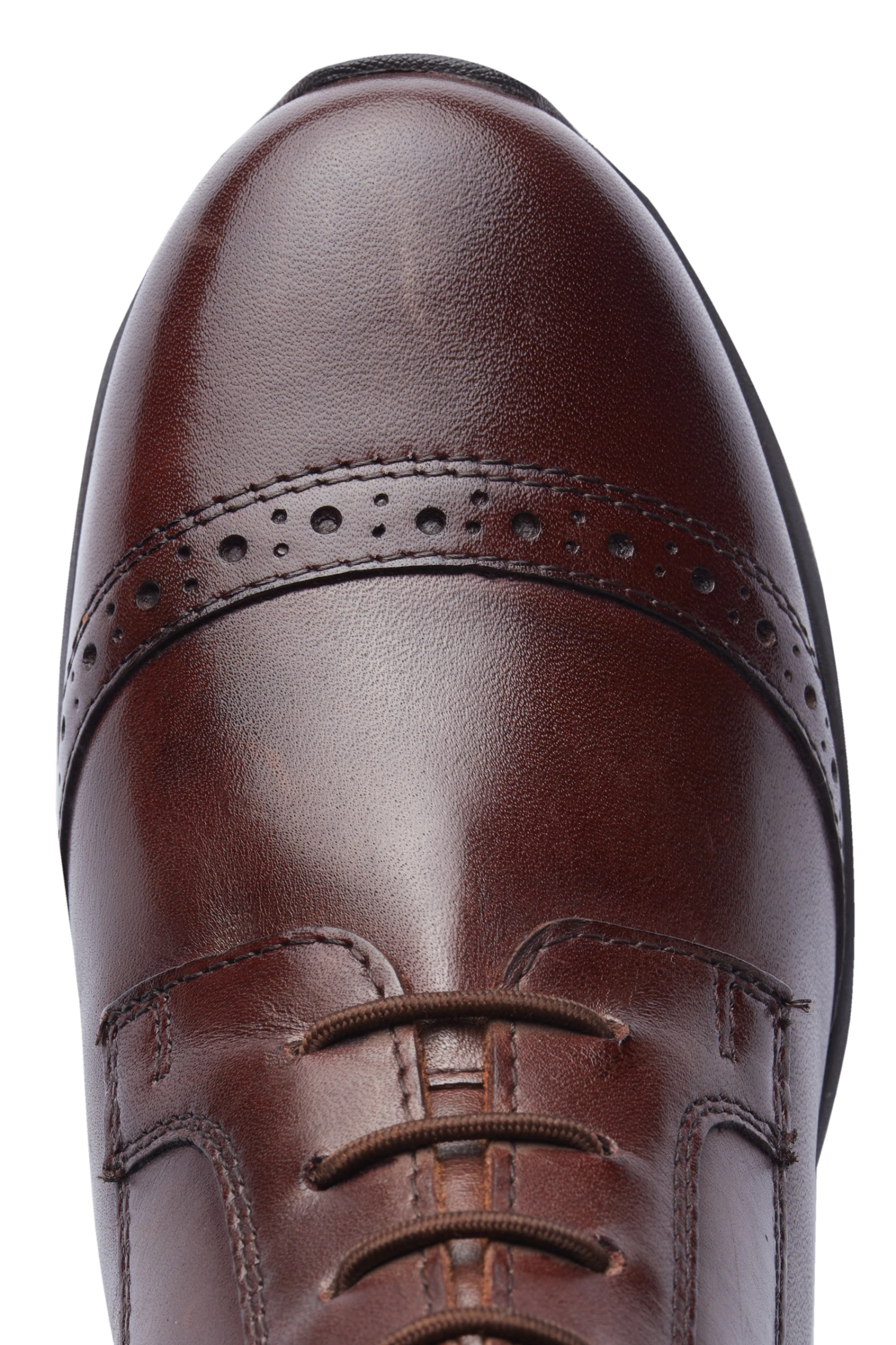 Horze Wicklow Reitstiefeletten 7 Horze Wicklow Reitstiefeletten – Bild 5