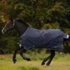 Horseware Amigo Bravo 12 Winterdecke, 250g 2 Horseware Amigo Bravo 12 Winterdecke, 250g -Cavallo Verkäufe 922496 DB B BL 1
