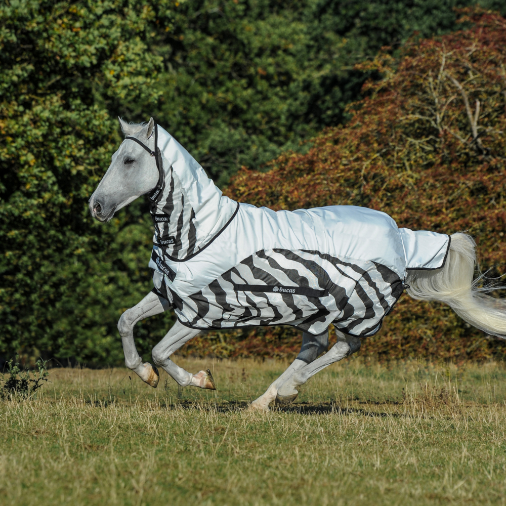 Cavallo Verkäufe 47 Cavallo Verkäufe -Cavallo Verkäufe Bucas Buzz Off Rain Zebra und Neck 9434