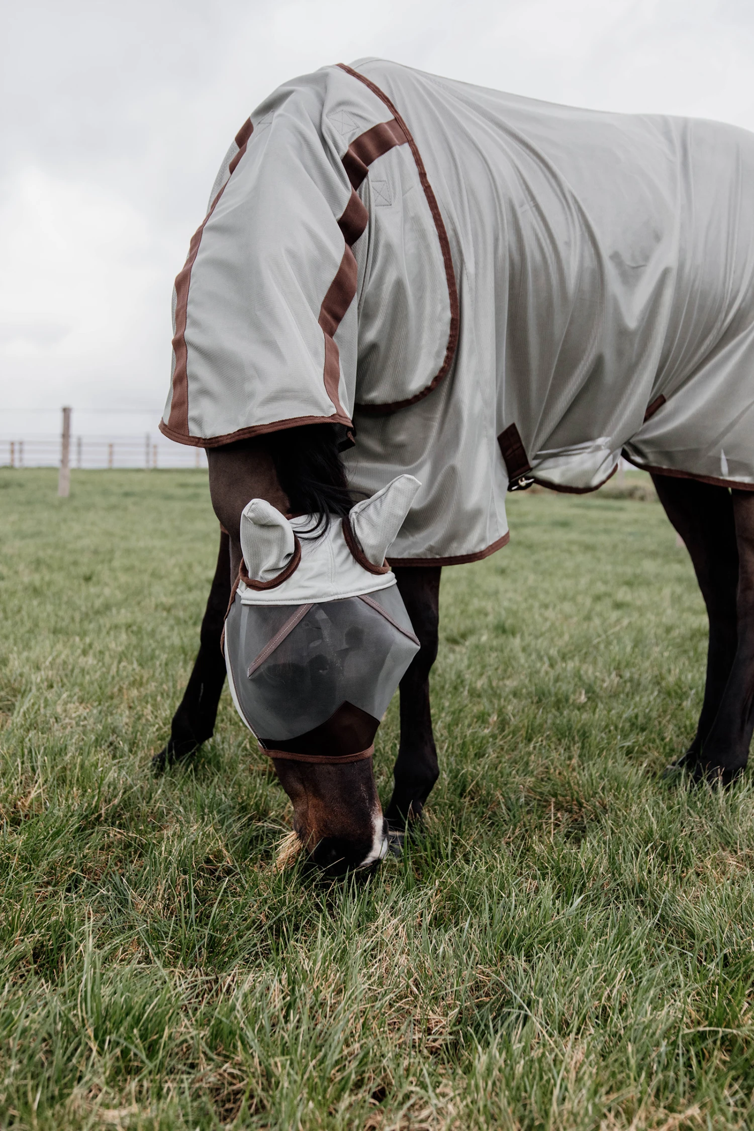 Kentucky Horsewear Classic Fliegendecke 4 Kentucky Horsewear Classic Fliegendecke – Bild 2