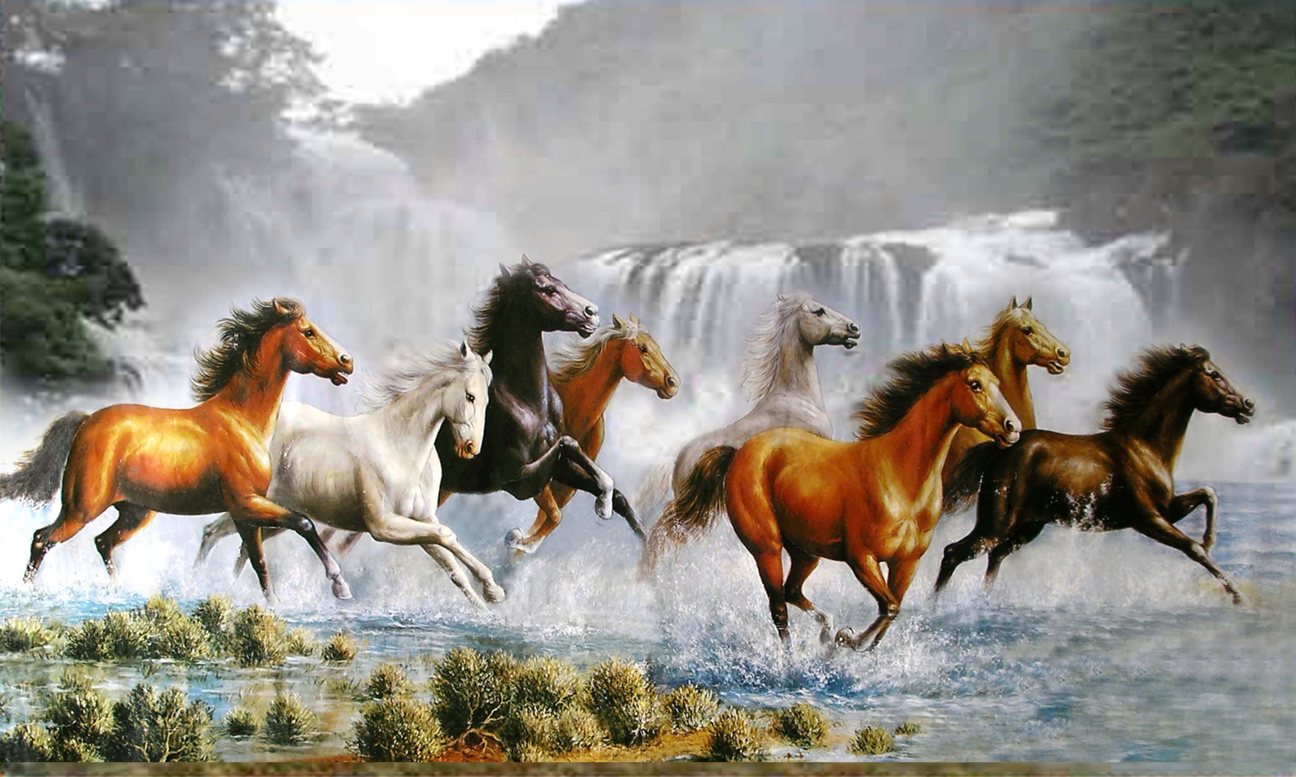 Cavallo Verkäufe -Cavallo Verkäufe z6325033467756 d6036119fd6bdd2bd2079d68b0d19429